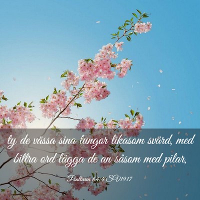 Picture 03 - Psaltaren 64:4 SV1917 - ty de vässa sina tungor likasom svärd, med - Bible Verse Picture