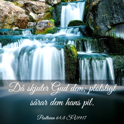 Picture 03 - Psaltaren 64:8 SV1917 - Då skjuter Gud dem; plötsligt sårar dem hans - Bible Verse Picture