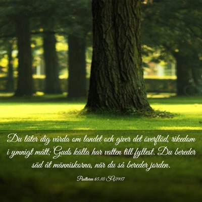 Picture 03 - Psaltaren 65:10 SV1917 - Du låter dig vårda om landet och giver det - Bible Verse Picture