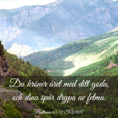 Picture 03 - Psaltaren 65:12 SV1917 - Du kröner året med ditt goda, och dina spår - Bible Verse Picture