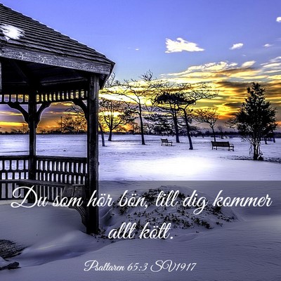 Picture 03 - Psaltaren 65:3 SV1917 - Du som hör bön, till dig kommer allt - Bible Verse Picture