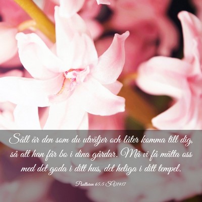 Picture 03 - Psaltaren 65:5 SV1917 - Säll är den som du utväljer och låter komma - Bible Verse Picture