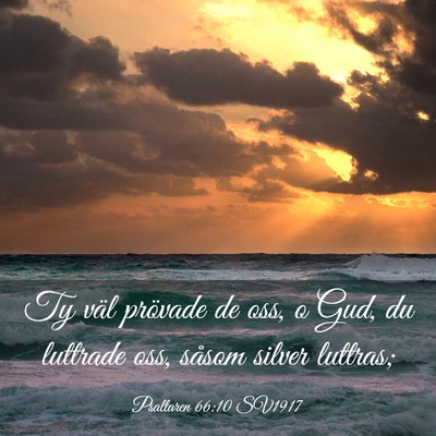 Picture 03 - Psaltaren 66:10 SV1917 - Ty väl prövade de oss, o Gud, du luttrade oss, - Bible Verse Picture
