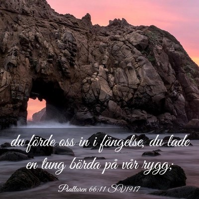 Picture 03 - Psaltaren 66:11 SV1917 - du förde oss in i fängelse, du lade en tung - Bible Verse Picture