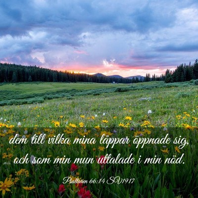 Picture 03 - Psaltaren 66:14 SV1917 - dem till vilka mina låppar öppnade sig, och som - Bible Verse Picture