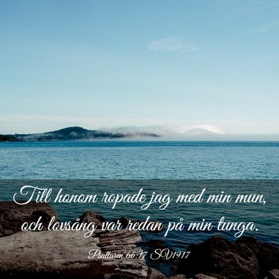 Picture 03 - Psaltaren 66:17 SV1917 - Till honom ropade jag med min mun, och lovsång - Bible Verse Picture