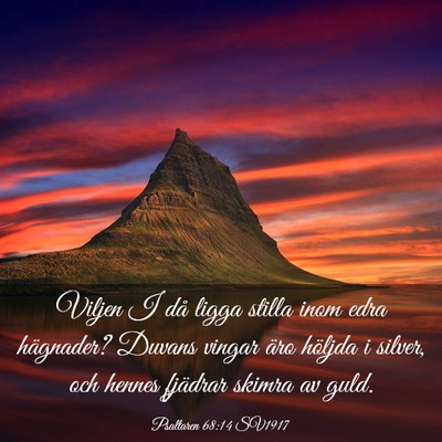 Picture 03 - Psaltaren 68:14 SV1917 - Viljen I då ligga stilla inom edra hägnader? - Bible Verse Picture