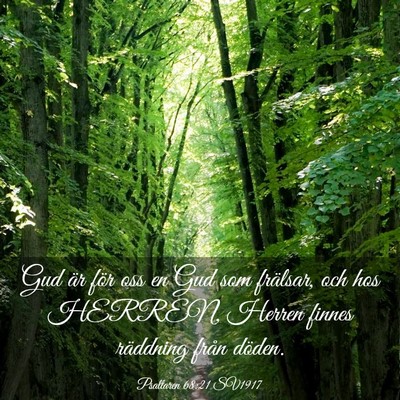 Picture 03 - Psaltaren 68:21 SV1917 - Gud är för oss en Gud som frälsar, och hos - Bible Verse Picture
