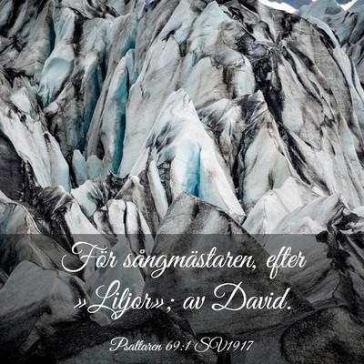 Picture 03 - Psaltaren 69:1 SV1917 - För sångmästaren, efter »Liljor»; av - Bible Verse Picture