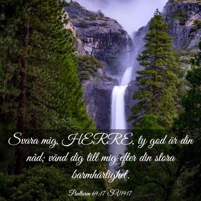 Picture 03 - Psaltaren 69:17 SV1917 - Svara mig, HERRE, ty god är din nåd; vänd dig - Bible Verse Picture