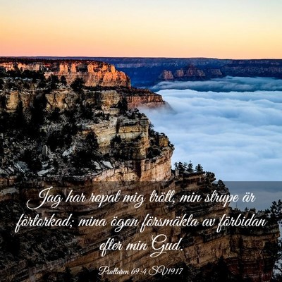 Picture 03 - Psaltaren 69:4 SV1917 - Jag har ropat mig trött, min strupe är - Bible Verse Picture