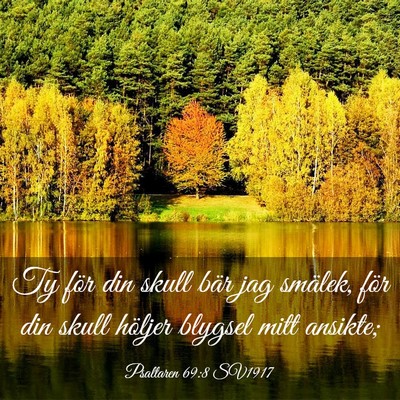 Picture 03 - Psaltaren 69:8 SV1917 - Ty för din skull bär jag smälek, för din - Bible Verse Picture