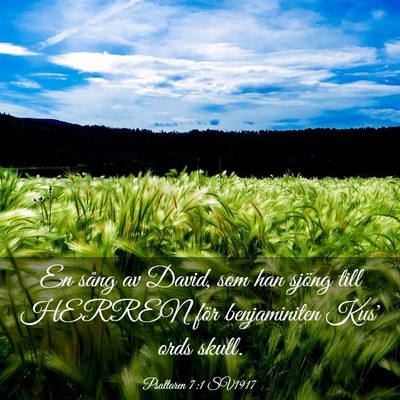 Picture 03 - Psaltaren 7:1 SV1917 - En sång av David, som han sjöng till HERREN - Bible Verse Picture