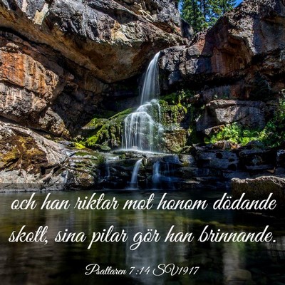 Picture 03 - Psaltaren 7:14 SV1917 - och han riktar mot honom dödande skott, sina - Bible Verse Picture