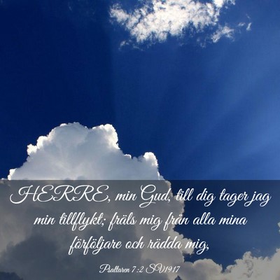 Picture 03 - Psaltaren 7:2 SV1917 - HERRE, min Gud, till dig tager jag min tillflykt; - Bible Verse Picture