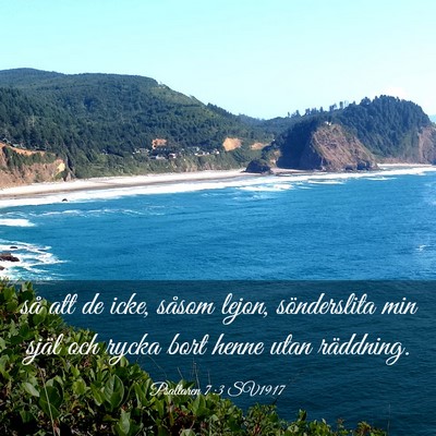 Picture 03 - Psaltaren 7:3 SV1917 - så att de icke, såsom lejon, sönderslita min - Bible Verse Picture