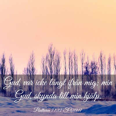 Picture 03 - Psaltaren 71:12 SV1917 - Gud, var icke långt ifrån mig; min Gud, skynda - Bible Verse Picture