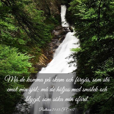 Picture 03 - Psaltaren 71:13 SV1917 - Må de komma på skam och förgås, som stå emot - Bible Verse Picture