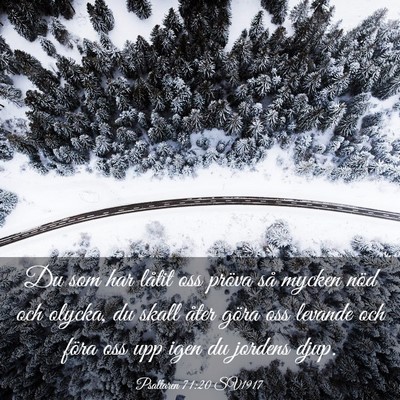 Picture 03 - Psaltaren 71:20 SV1917 - Du som har låtit oss pröva så mycken nöd och - Bible Verse Picture