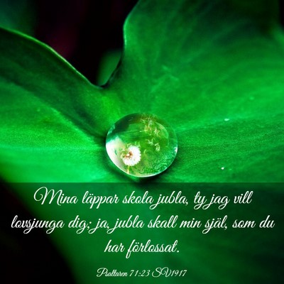 Picture 03 - Psaltaren 71:23 SV1917 - Mina läppar skola jubla, ty jag vill lovsjunga - Bible Verse Picture