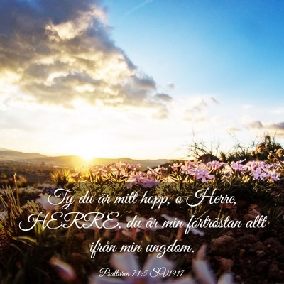 Picture 03 - Psaltaren 71:5 SV1917 - Ty du är mitt hopp, o Herre, HERRE, du är min - Bible Verse Picture
