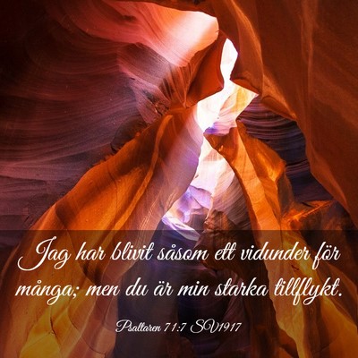Picture 03 - Psaltaren 71:7 SV1917 - Jag har blivit såsom ett vidunder för många; - Bible Verse Picture