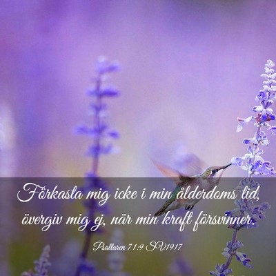 Picture 03 - Psaltaren 71:9 SV1917 - Förkasta mig icke i min ålderdoms tid, övergiv - Bible Verse Picture
