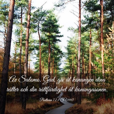 Picture 03 - Psaltaren 72:1 SV1917 - Av Salomo. Gud, giv åt konungen dina rätter och - Bible Verse Picture