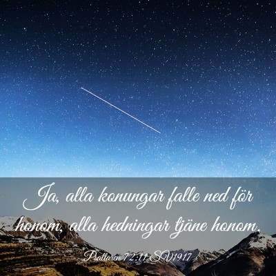 Picture 03 - Psaltaren 72:11 SV1917 - Ja, alla konungar falle ned för honom, alla - Bible Verse Picture