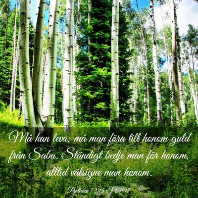 Picture 03 - Psaltaren 72:15 SV1917 - Må han leva; må man föra till honom guld från - Bible Verse Picture