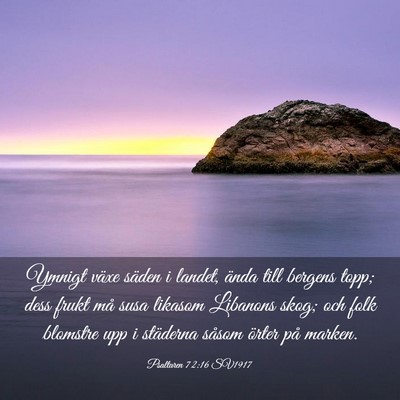 Picture 03 - Psaltaren 72:16 SV1917 - Ymnigt växe säden i landet, ända till bergens - Bible Verse Picture