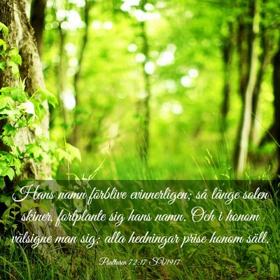 Picture 03 - Psaltaren 72:17 SV1917 - Hans namn förblive evinnerligen; så länge - Bible Verse Picture