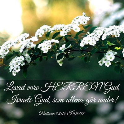 Picture 03 - Psaltaren 72:18 SV1917 - Lovad vare HERREN Gud, Israels Gud, som allena - Bible Verse Picture