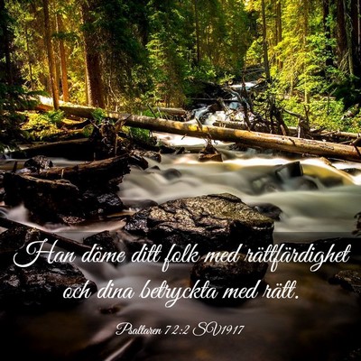 Picture 03 - Psaltaren 72:2 SV1917 - Han döme ditt folk med rättfärdighet och dina - Bible Verse Picture