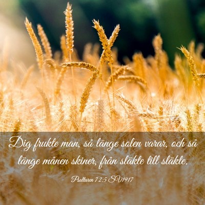 Picture 03 - Psaltaren 72:5 SV1917 - Dig frukte man, så länge solen varar, och så - Bible Verse Picture