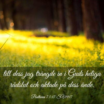 Picture 03 - Psaltaren 73:17 SV1917 - till dess jag trängde in i Guds heliga rådslut - Bible Verse Picture