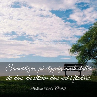 Picture 03 - Psaltaren 73:18 SV1917 - Sannerligen, på slipprig mark ställer du dem, - Bible Verse Picture