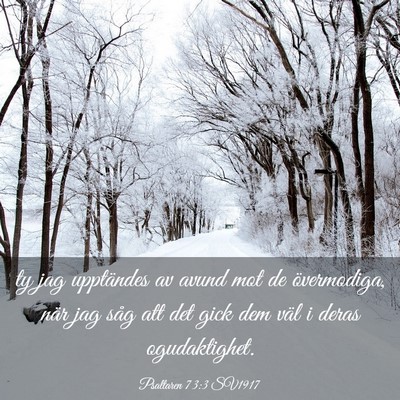 Picture 03 - Psaltaren 73:3 SV1917 - ty jag upptändes av avund mot de övermodiga, - Bible Verse Picture