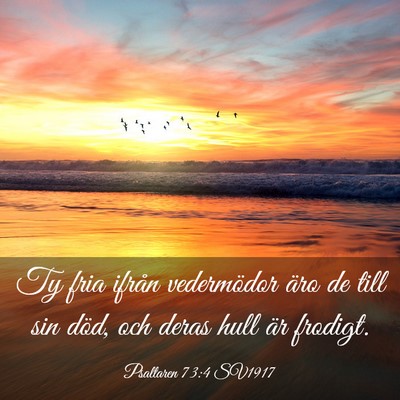 Picture 03 - Psaltaren 73:4 SV1917 - Ty fria ifrån vedermödor äro de till sin död, - Bible Verse Picture