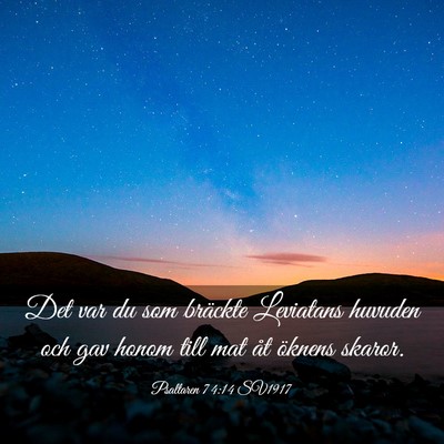 Picture 03 - Psaltaren 74:14 SV1917 - Det var du som bräckte Leviatans huvuden och gav - Bible Verse Picture