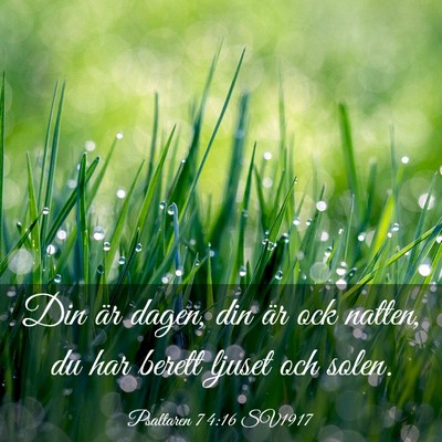 Picture 03 - Psaltaren 74:16 SV1917 - Din är dagen, din är ock natten, du har berett - Bible Verse Picture