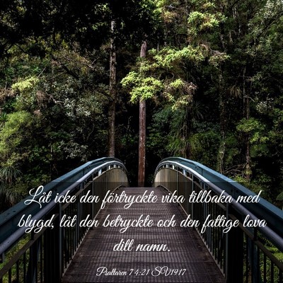 Picture 03 - Psaltaren 74:21 SV1917 - Låt icke den förtryckte vika tillbaka med - Bible Verse Picture