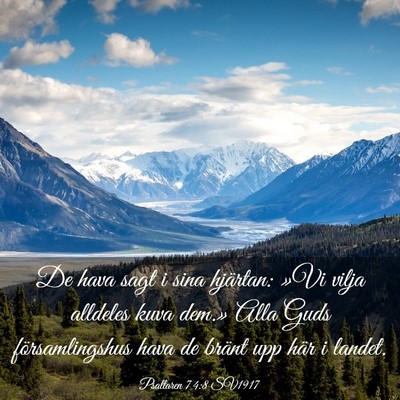 Picture 03 - Psaltaren 74:8 SV1917 - De hava sagt i sina hjärtan: »Vi vilja alldeles - Bible Verse Picture