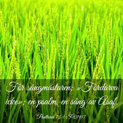 Picture 03 - Psaltaren 75:1 SV1917 - För sångmästaren; »Fördärva icke»; en - Bible Verse Picture