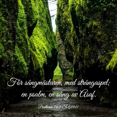 Picture 03 - Psaltaren 76:1 SV1917 - För sångmästaren, med strängaspel; en psalm, - Bible Verse Picture