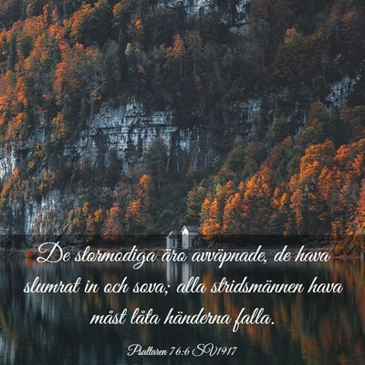 Picture 03 - Psaltaren 76:6 SV1917 - De stormodiga äro avväpnade, de hava slumrat in - Bible Verse Picture