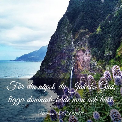 Picture 03 - Psaltaren 76:7 SV1917 - För din näpst, du Jakobs Gud, ligga domnade - Bible Verse Picture