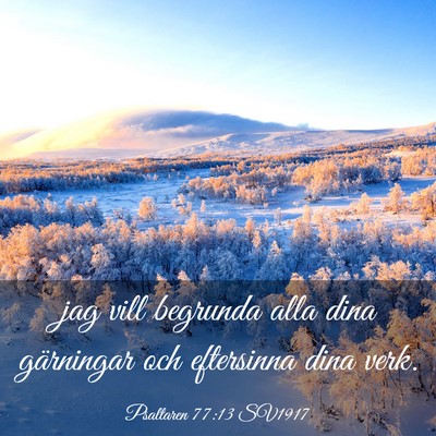 Picture 03 - Psaltaren 77:13 SV1917 - jag vill begrunda alla dina gärningar och - Bible Verse Picture