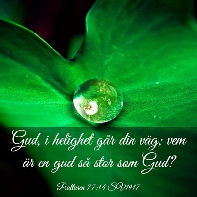 Picture 03 - Psaltaren 77:14 SV1917 - Gud, i helighet går din väg; vem är en gud så - Bible Verse Picture
