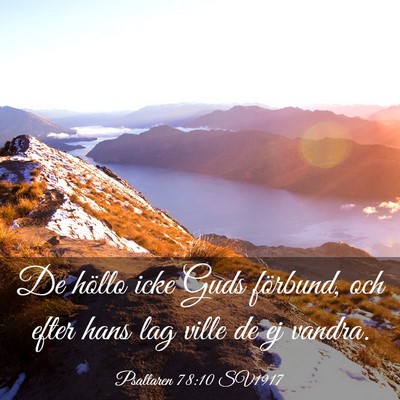 Picture 03 - Psaltaren 78:10 SV1917 - De höllo icke Guds förbund, och efter hans lag - Bible Verse Picture